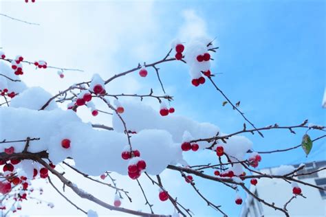 形容冬季雪景的优美句子70句-唯美句子-经典语录大全
