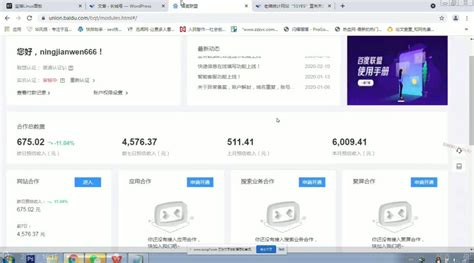 冯耀宗8000元SEO视频培训课程泄露事件-茹莱神兽