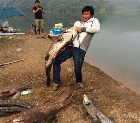 男子钓到55斤重的大鱼 历经一小时才弄上岸|鱼类|鱼|鳡鱼_新浪新闻