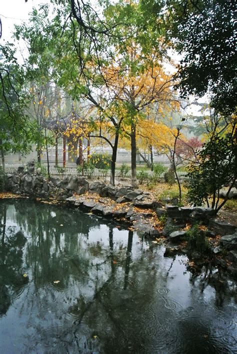 有一种美景叫济南的秋天_图片新闻_鲁中传媒网