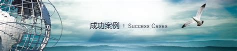 杨伟红 - 吉林省联付网络科技有限公司 - 法定代表人/高管/股东 - 爱企查