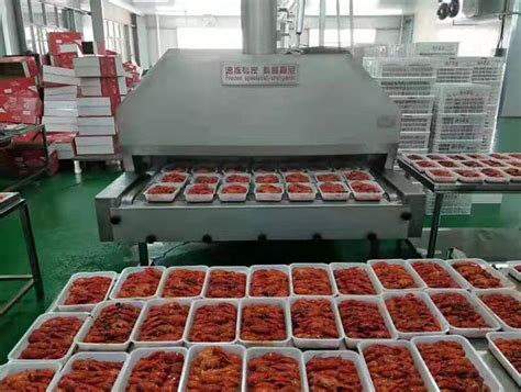 食品速冻设备 制冷速冻设备 速冻机专业厂家-广州极速制冷设备有限公司 - 广州极速制冷设备有限公司