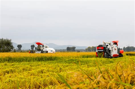 兴安盟农牧局-兴安盟农牧技术推广中心 赴自治区对口业务单位对接落实重点工作
