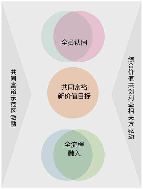 《2035中国：共建共同富裕社会》全景式解读共同富裕大战略|大战略|国情|胡鞍钢_新浪新闻