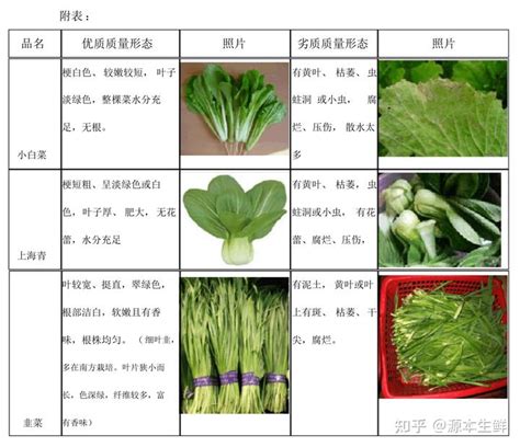 蔬菜验收标准,农业展板,宣传展板模板,设计模板,汇图网www.huitu.com