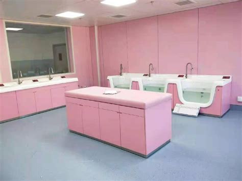 婴儿洗浴设备-洗礼池/游泳池/护理平台-泰州瑞平医疗器械科技有限公司