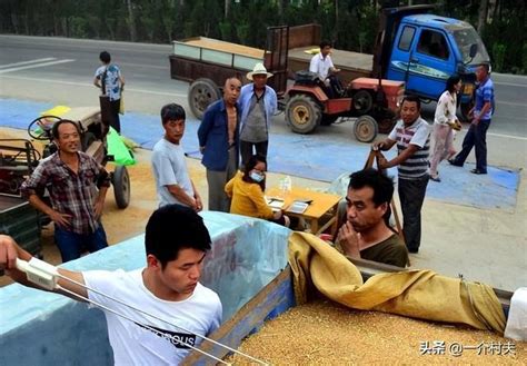 农民卖粮时，将近4000斤的小麦，称重后只有3480斤，你遇到过吗__财经头条