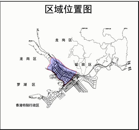 创新思变，规划设计引领盐田新时期高质量发展 _直播车行动_深圳新闻网