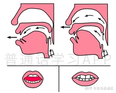 前鼻音和后鼻音有哪些-前鼻音和后鼻音的区分技巧-前后鼻音发音技巧