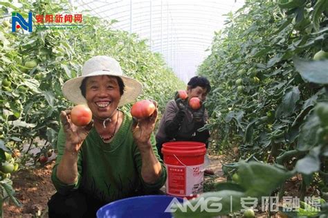 韶山农商银行：召开2022年跨年“开门红”动员大会-湖南省农村信用社联合社