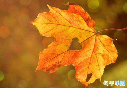 形容秋天的优美句子有哪些 形容秋天的优美句子精选_知秀网