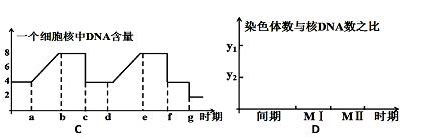 dna分子结构_dna分子的结构是 - 随意云