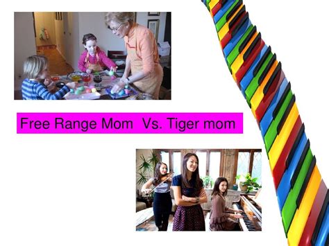 Free-rang mom vs. Tiger mom_word文档在线阅读与下载_无忧文档