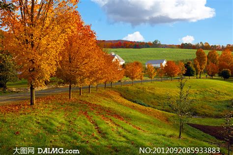 秋天的山路落叶摄影图片图片-包图网