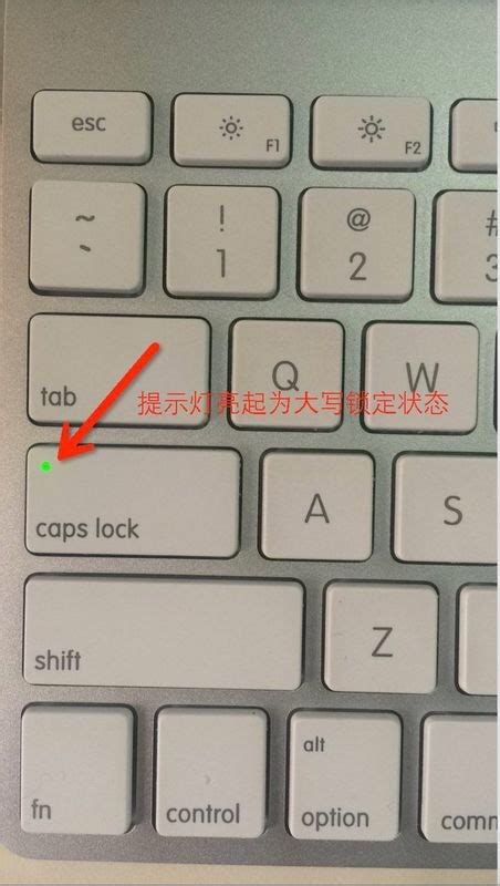 macbook怎么切换中英文按哪个键（5组快捷键和虚拟键盘）-老汤博客