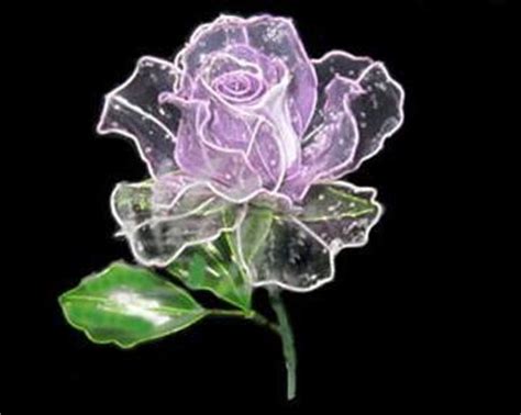 水晶兰的花语是什么？水晶兰的寓意和象征-花卉百科-中国花木网