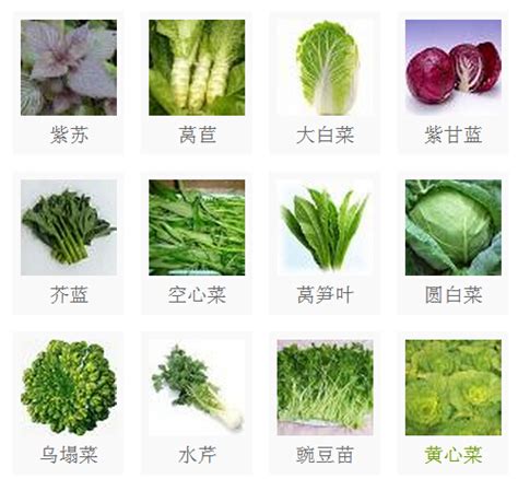 蔬菜摊上美味蔬菜的大选择高清摄影大图-千库网