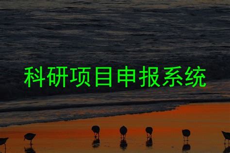 黑龙江省教育科学“十三五”规划2018年度课题开题现场会（三）