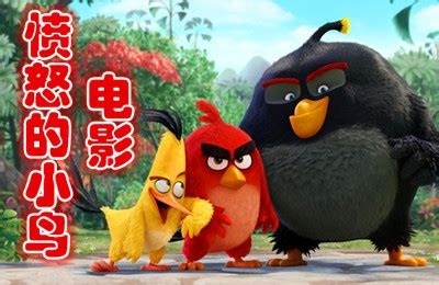 《愤怒的小鸟》大电影版即将上线喽，网页宣传图页面海报|网页|其他网页|gongshanfeixue - 原创作品 - 站酷 (ZCOOL)