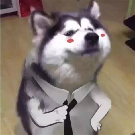 叉腰表情包图片