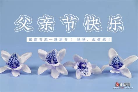 中国的父亲节是哪一天，几月几号 - 日历网