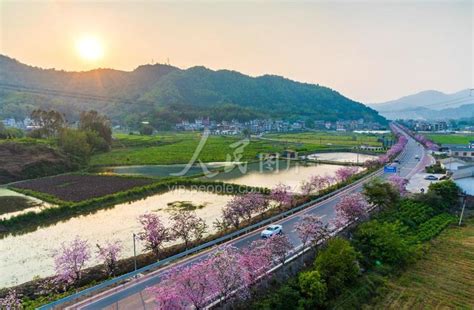 广西蒙山：绿化美化公路 助推美丽乡村建设-人民图片网