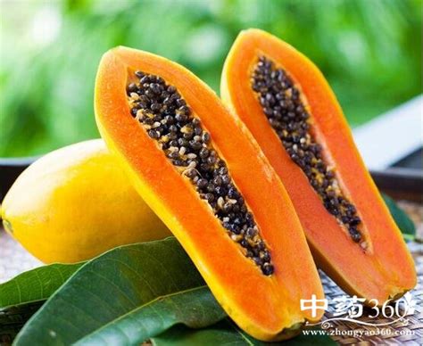 药用木瓜的功效与作用 药用木瓜的功效与作用图片_中国历史网
