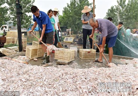 椒江万济池菜市场改造升级 新增2000多平米-台州频道