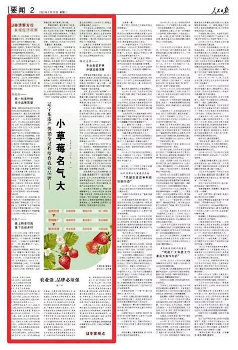 人民日报关注丹东东港：小草莓名气大-综合信息-东港市人民政府