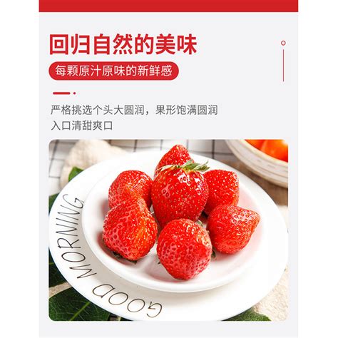丹东红颜九九草莓，奶香浓郁，红艳动人，香甜美味！|草莓_新浪新闻