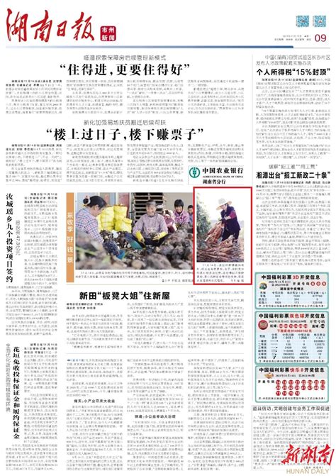 湖南日报图片新闻｜采收季 好“钱”景 - 永州 - 新湖南