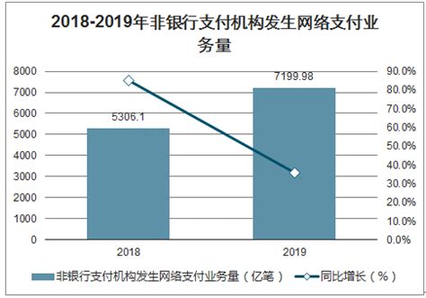 网络支付行业分析报告_2021-2027年中国网络支付市场研究与投资前景分析报告_中国产业研究报告网