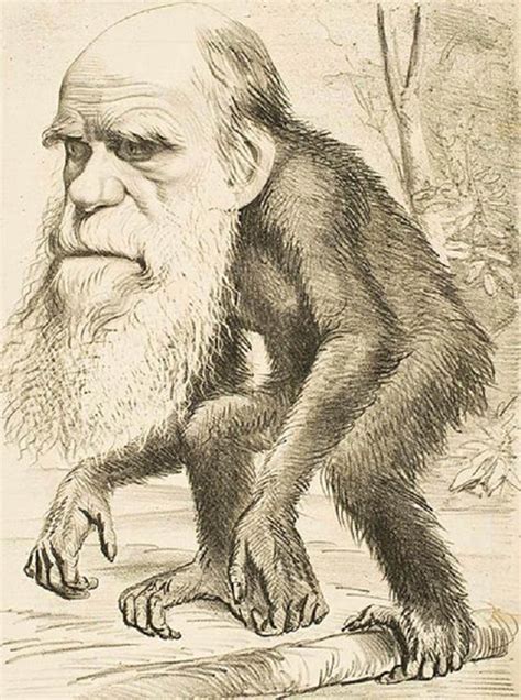 人类进化史存在空白期，进化论遭到质疑？人类那时在干什么？