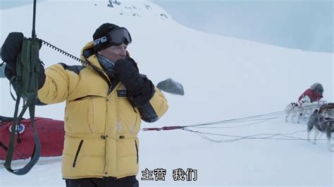 真实事件改编的电影《南极大冒险》，哈士奇听从主人的命令，用绳子救了落水的人_腾讯视频