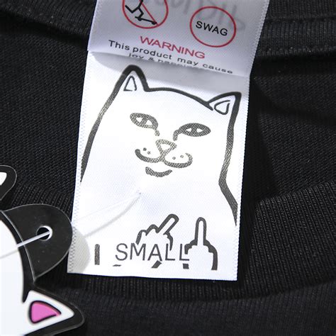 贱猫图片