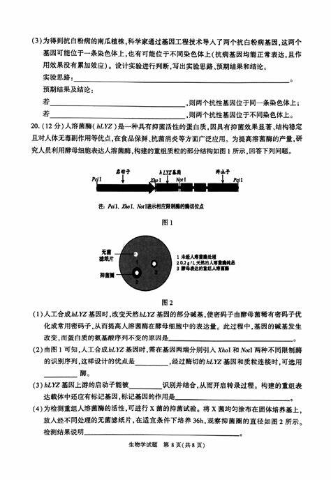 2024年合肥天气记录表