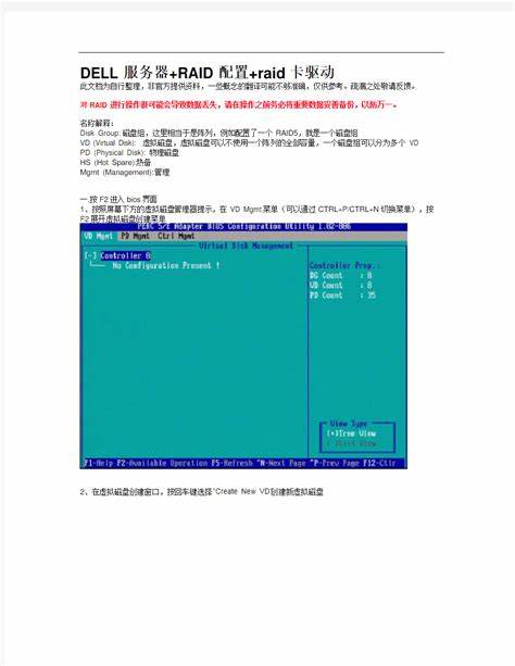 dell 服务器raid设置