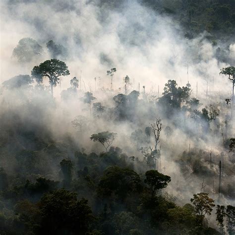 亚马逊雨林连烧三周无人管？巴西：烧成灰也不关你事！_手机新浪网