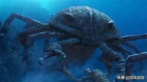 海王里深海巨兽卡拉森究竟是什么？海王彩蛋有哪些含义解析_电影资讯_海峡网