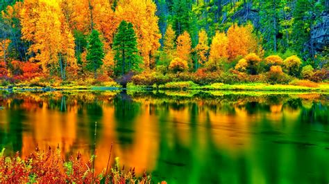 秋色秋叶、树叶天空、红枫红叶、银杏林-中关村在线摄影论坛