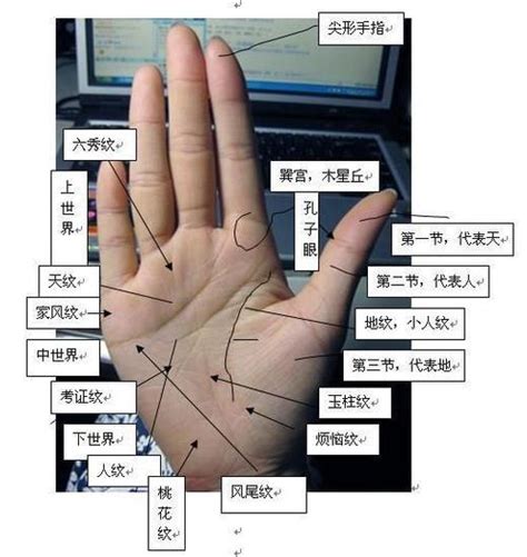 看手相手掌详细讲解 教你如何看手相 看手相 免费-周易算命网