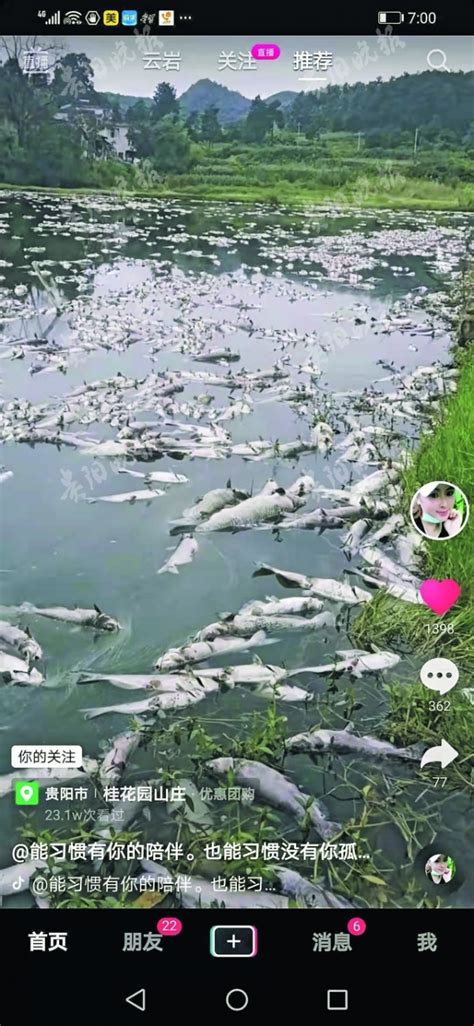 保定外环水系北湖河面漂浮大量死鱼 现已开展调查-房产新闻-保定搜狐焦点网
