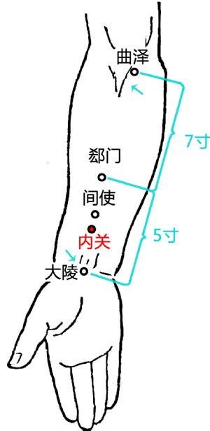 内关穴位图图片