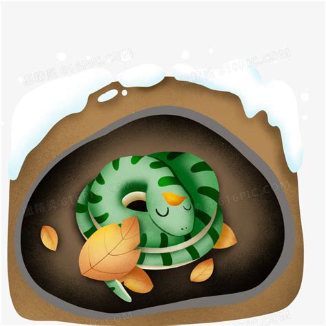 卡通手绘在洞里冬眠的绿色小蛇素材图片免费下载_PNG素材_编号1xri7do9m_图精灵