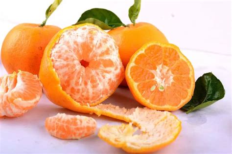 橘子吃法众多，橘子有什么美味吃法？_水果_三顶养生网