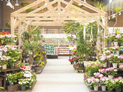 绿植创意名称,植物店名称,绿植园艺店取名_大山谷图库
