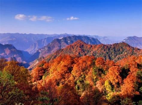 中国看红叶最美的地方有哪些_旅泊网