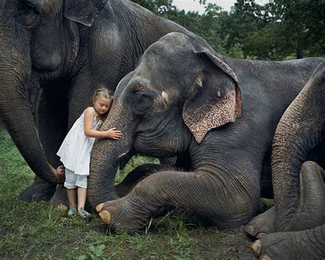 40张孩子与动物在一起的照片 来自世界各地摄影师的作品 - 第17页 | 宠物天空
