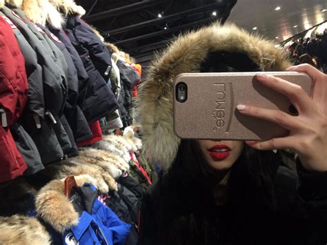 西遇仿加拿大大鹅(避坑知识篇)