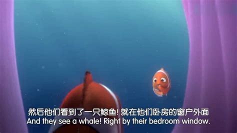 《海底总动员2》公映 再续绚丽海底大冒险_手机新浪网